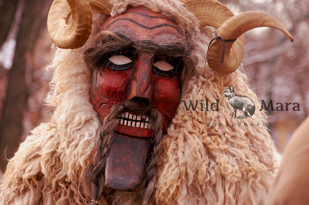 BUSZO.watermark