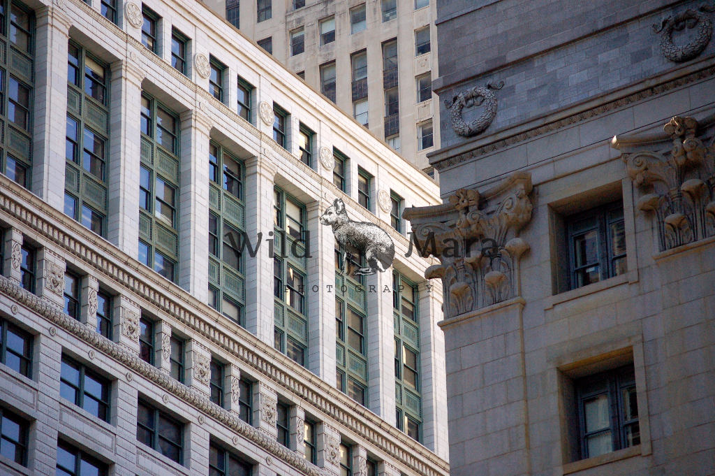 CHICAGO.watermark