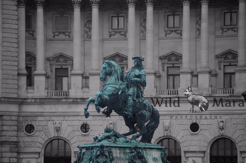 HAPSBURG.watermark