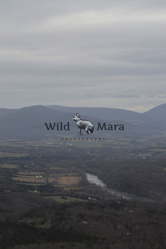 MISTYMOUNTAINS.watermark