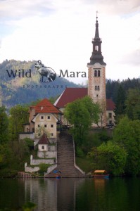 BLED.watermark