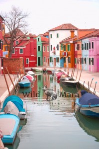 BURANO.watermark