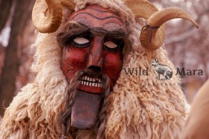 BUSZO.watermark