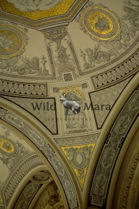 CHURCH.watermark