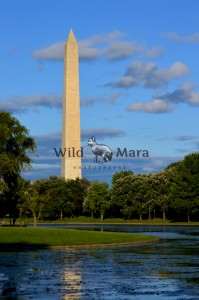 DC.watermark