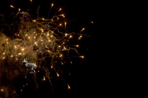 FIREWORKS.watermark