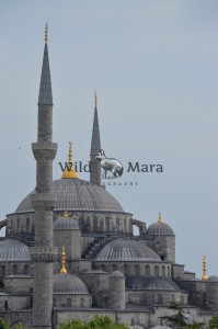 MOSQUE.watermark