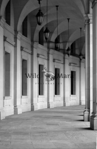 STONEDC.watermark
