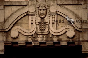 SZEGED1.watermark