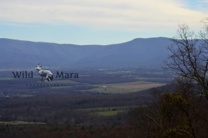 WESTVIRGINIA.watermark